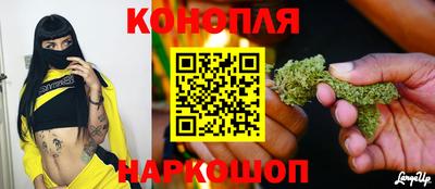 винт Шахты