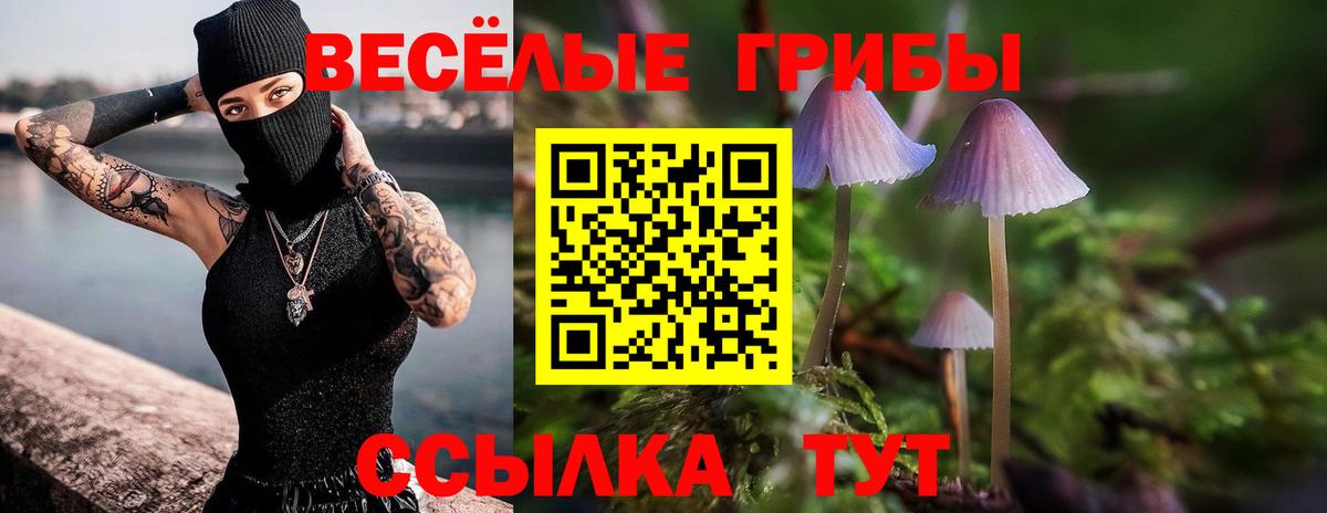 Псилоцибиновые грибы ЛСД Ачхой-Мартан